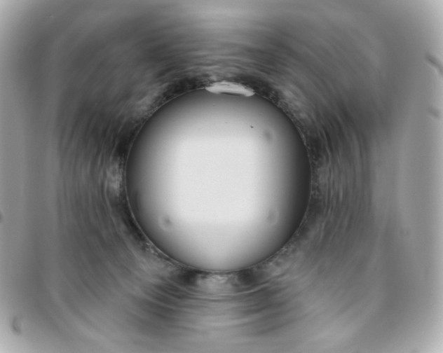 X0000096210129200802011329