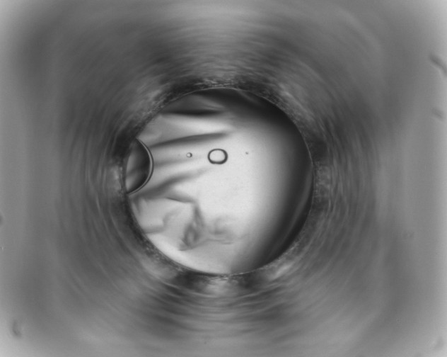 X0000096210130200802011329