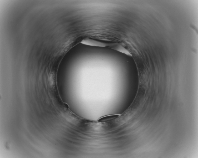 X0000096210131200802011329