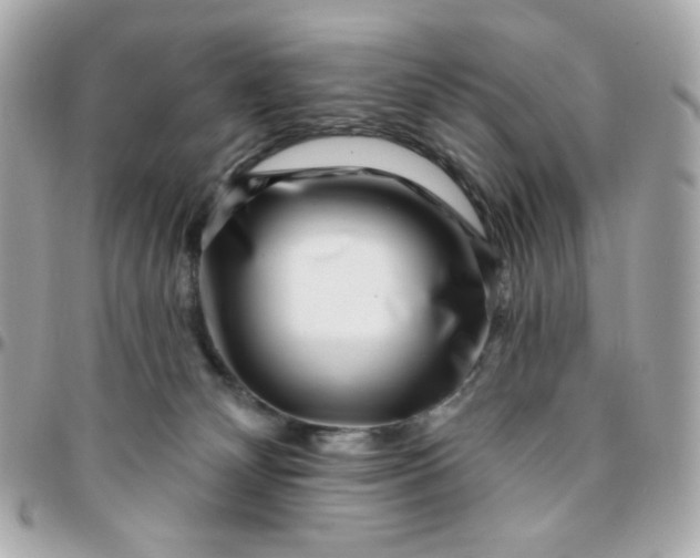 X0000096210132200802011329