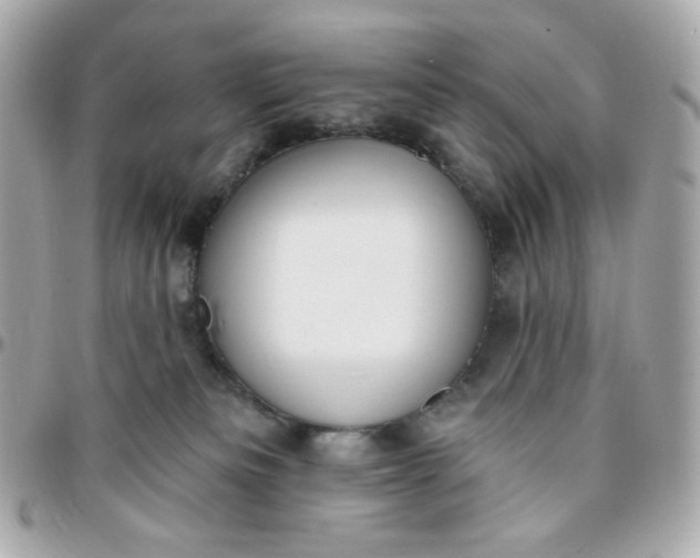 X0000096210133200802011329