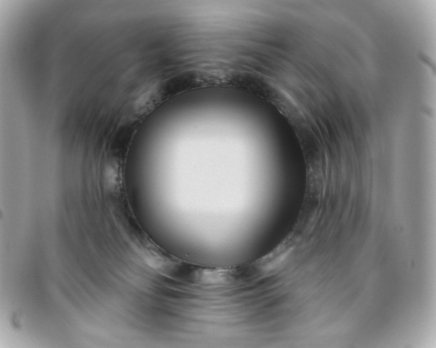 X0000096210134200802011329