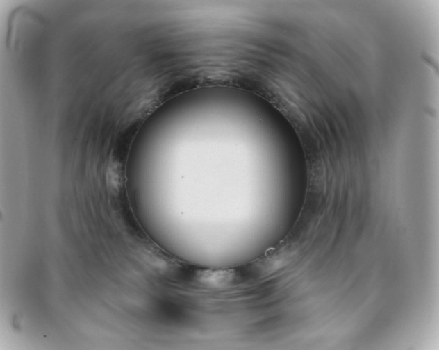 X0000096210135200802011329