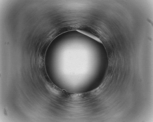 X0000096210136200802011329