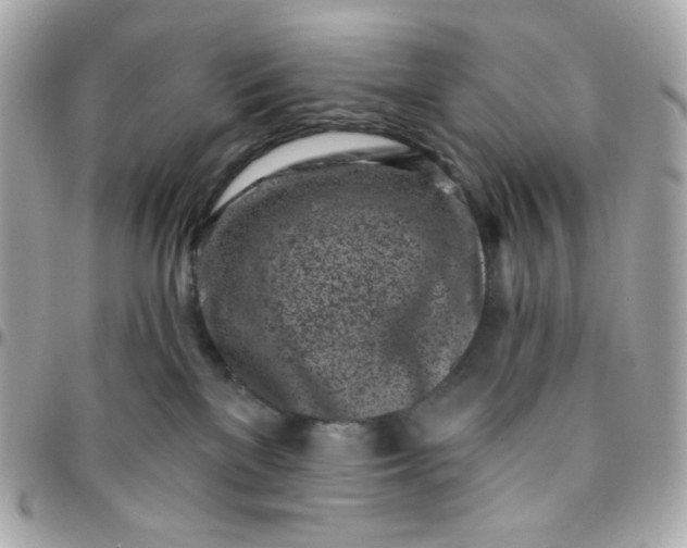 X0000096210137200802011329