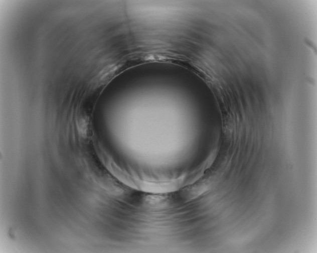 X0000096210139200802011329