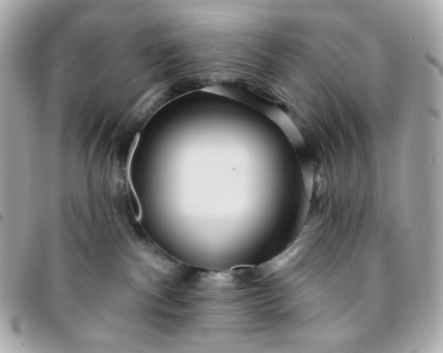 X0000096210140200802011329