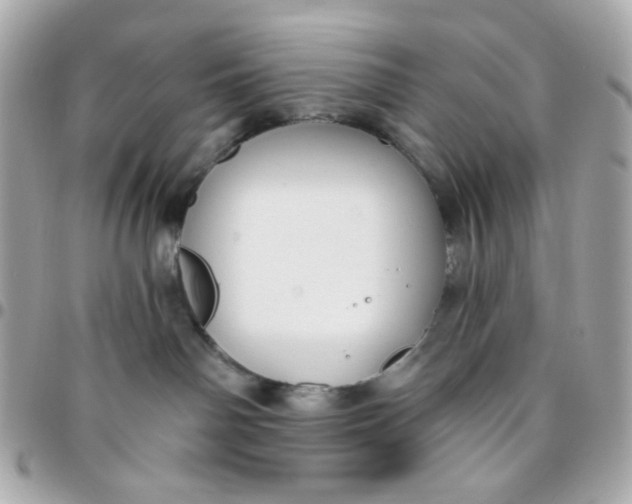 X0000096210142200802011329