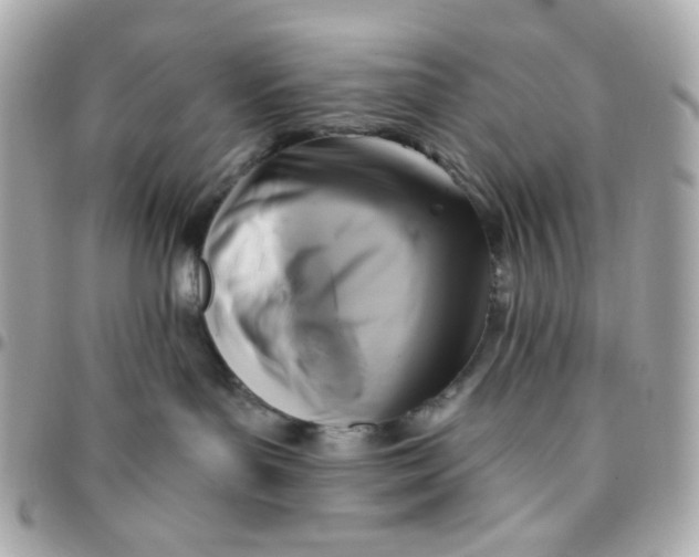 X0000096210143200802011329