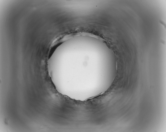 X0000096210144200802011329