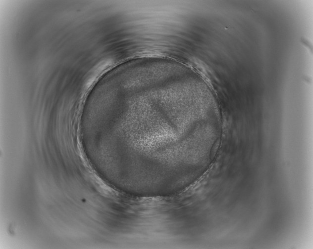 X0000096210145200802011328