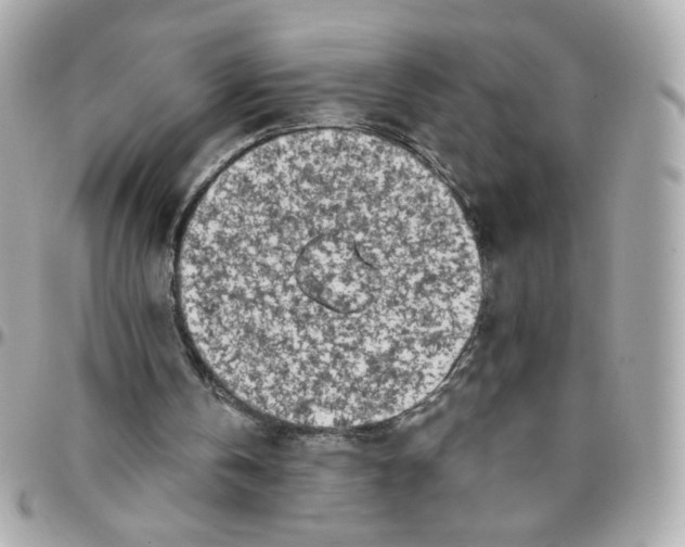 X0000096210146200802011328