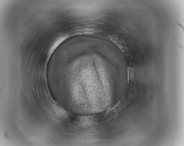 X0000096210147200802011328