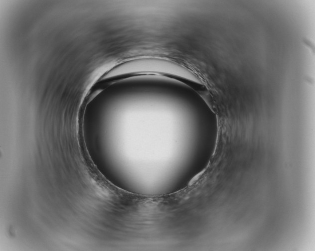 X0000096210148200802011328