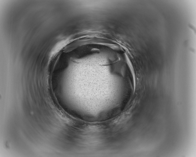 X0000096210149200802011328