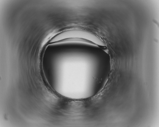 X0000096210150200802011328