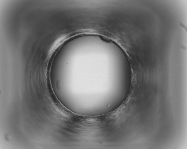 X0000096210151200802011328