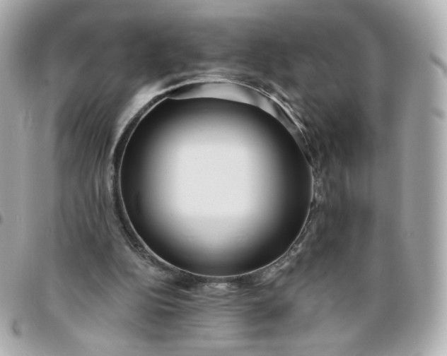 X0000096210152200802011328