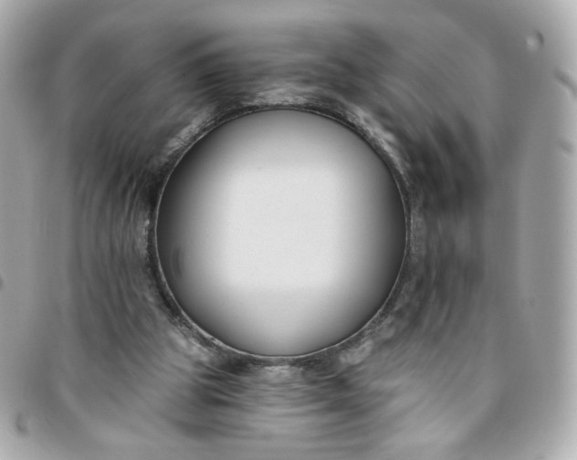 X0000096210153200802011328