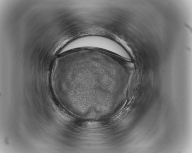 X0000096210154200802011328