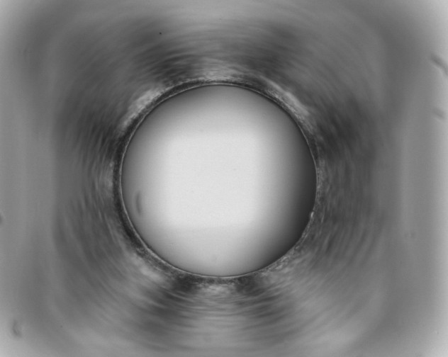 X0000096210155200802011328