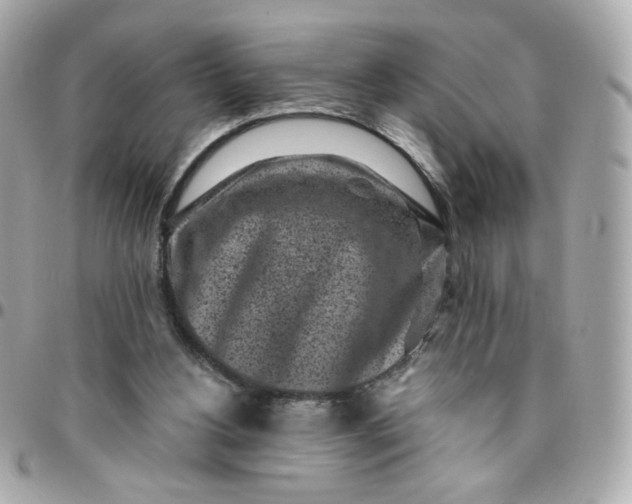 X0000096210156200802011328