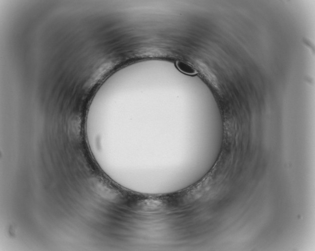 X0000096210159200802011328