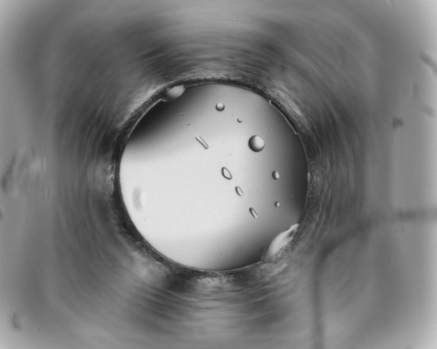 X0000096210160200802011328