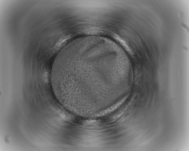 X0000096210161200802011328