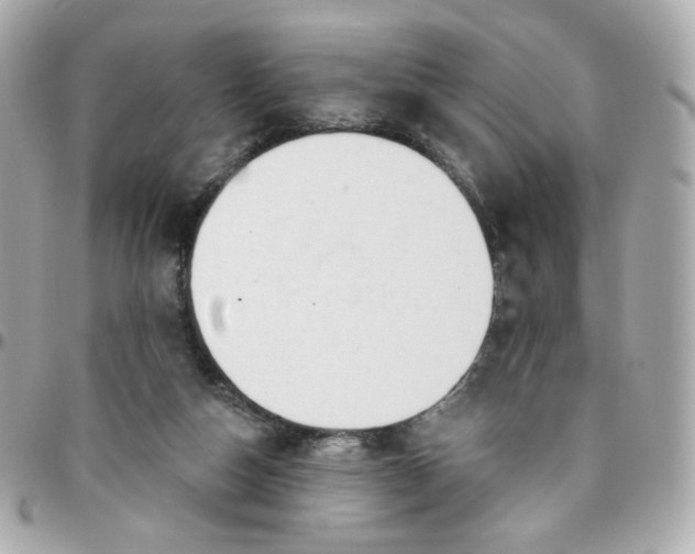 X0000096210162200802011328