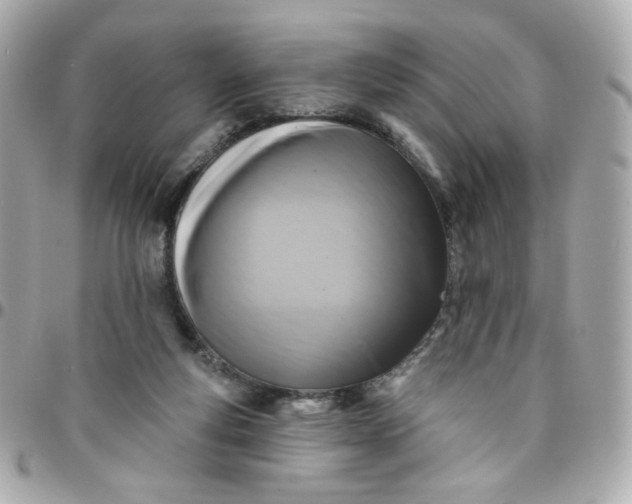 X0000096210163200802011328