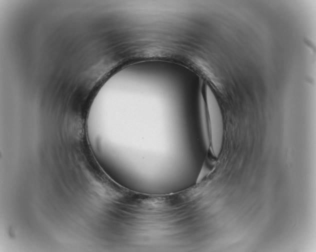 X0000096210164200802011328