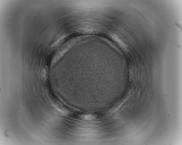 X0000096210165200802011328