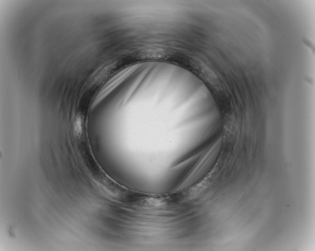 X0000096210166200802011328