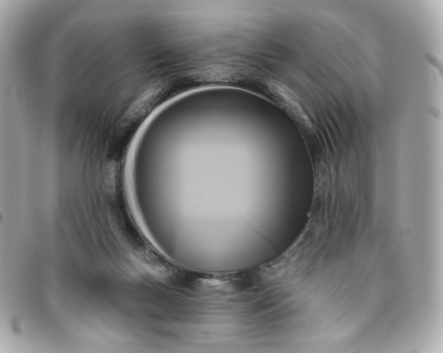 X0000096210167200802011328