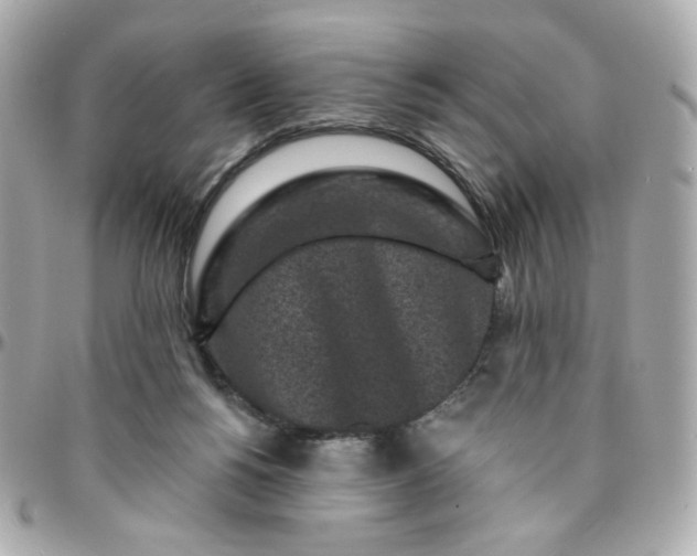 X0000096210168200802011329