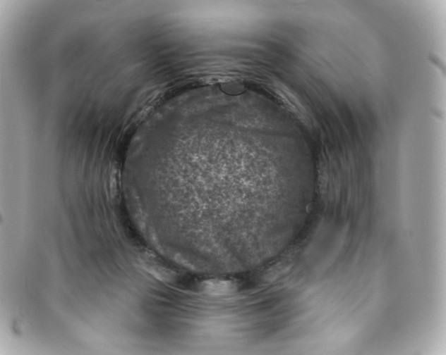 X0000096210169200802011329