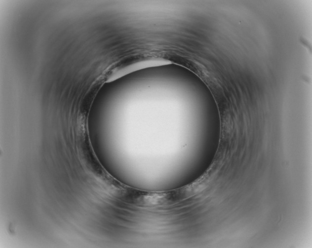 X0000096210172200802011329