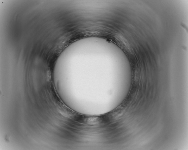 X0000096210173200802011329