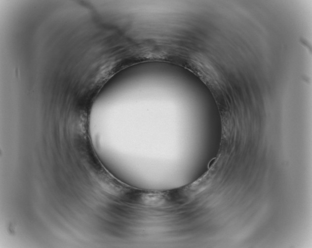 X0000096210175200802011329