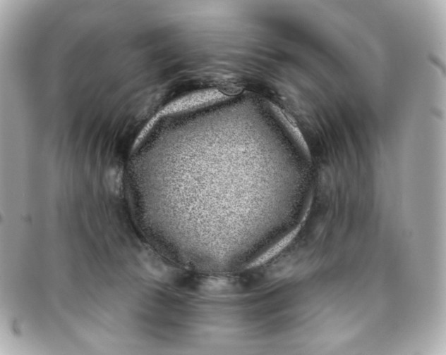 X0000096210177200802011329