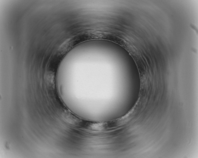 X0000096210178200802011329