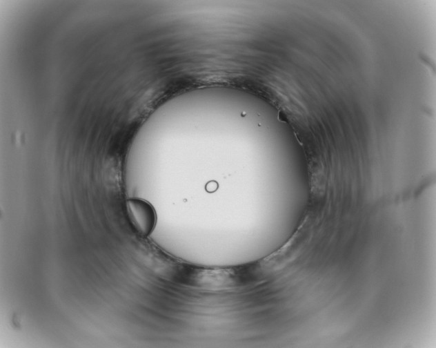 X0000096210179200802011329