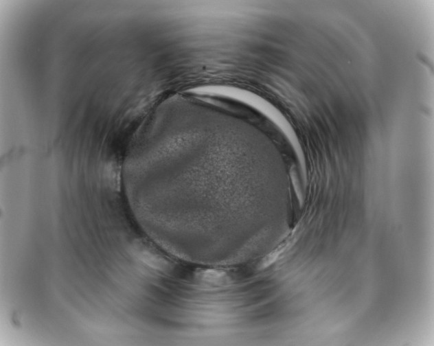 X0000096210180200802011329