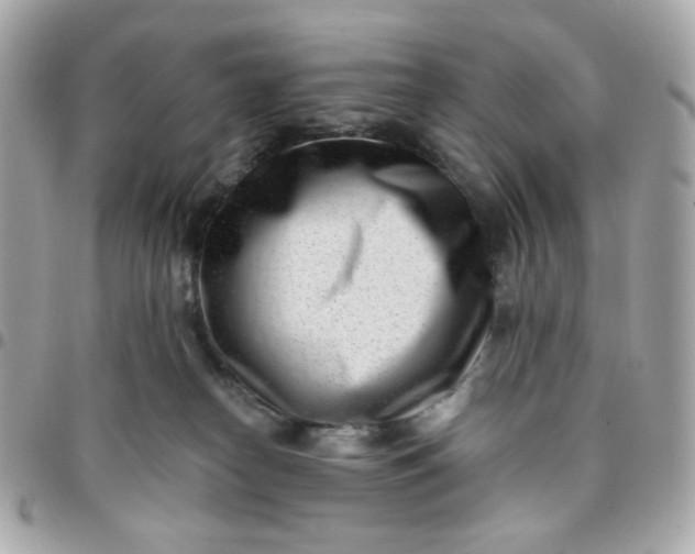 X0000096210182200802011329