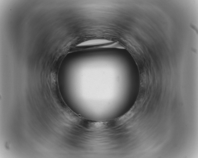 X0000096210184200802011329