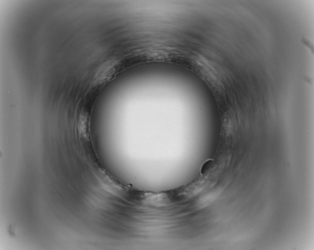 X0000096210185200802011329