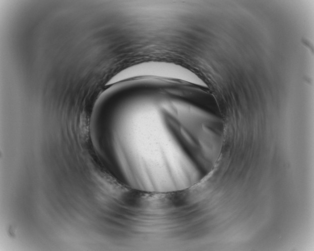 X0000096210186200802011329