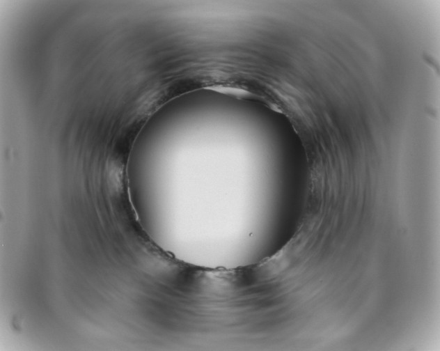 X0000096210188200802011329