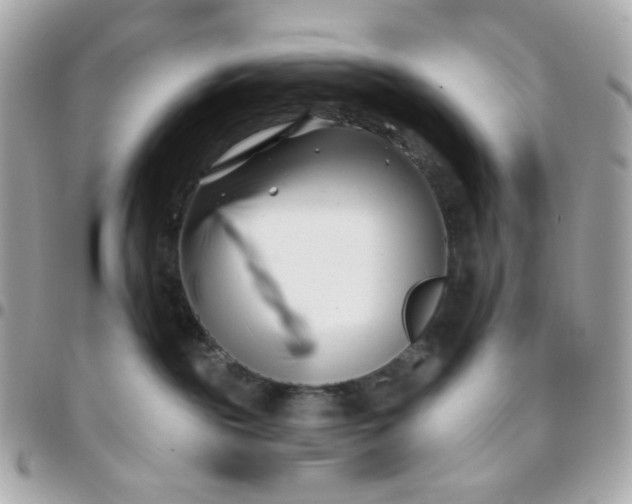 X0000096210189200802011329